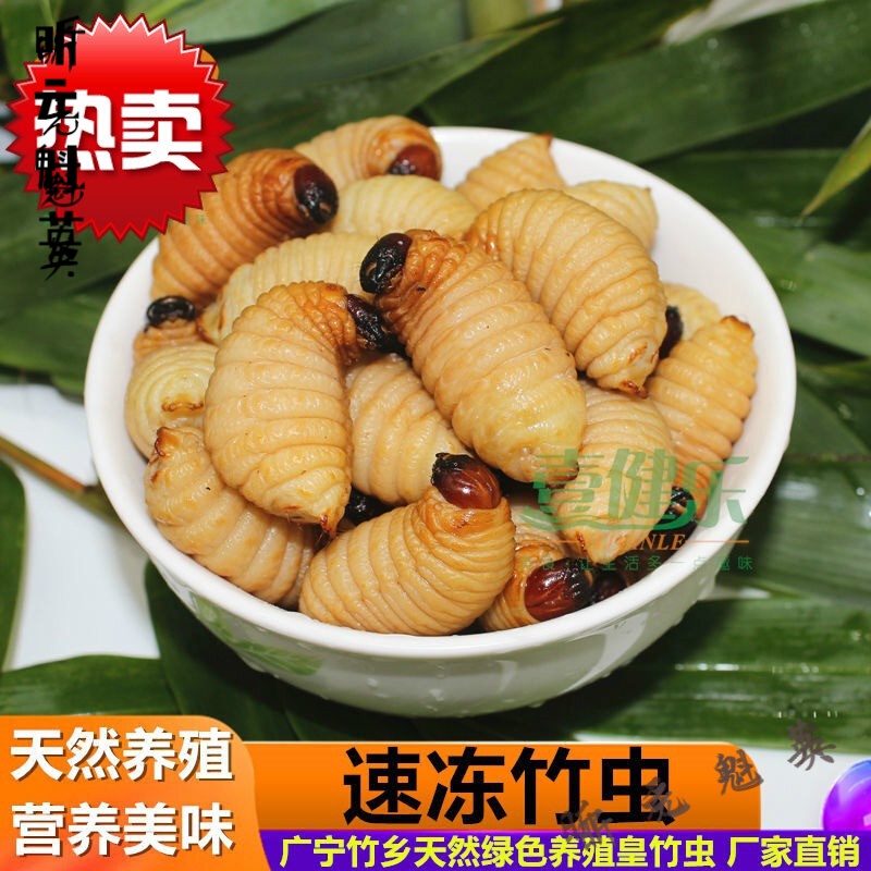 巢浩广宁皇竹虫天然养殖新鲜蚂蚱活虫速冻笋虫烧烤食用昆虫竹蛹虫500g