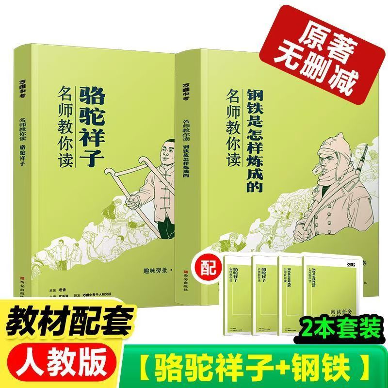 抖音爆款】万唯初中名著名师教你读名著初中必读名著十二本12本钢铁是怎样炼成的骆驼祥子老舍原著正版经典常谈朱自清朝花夕拾鲁迅简爱西游记初一七八九年级课外阅读书籍12本上下册【辅导书无原著书籍】 7七下必