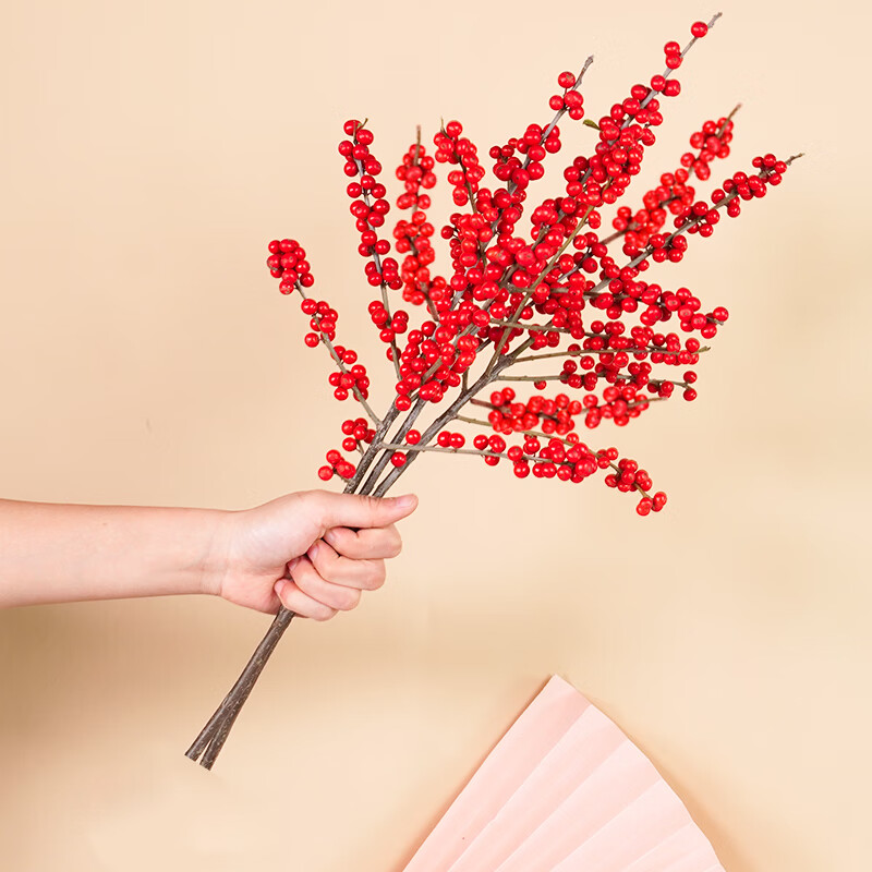 绿有意北美冬青鲜切枝发财果春节喜庆年宵花卉室内水培红果冬青花束 优质冬青A级3枝约30公分高 不含盆