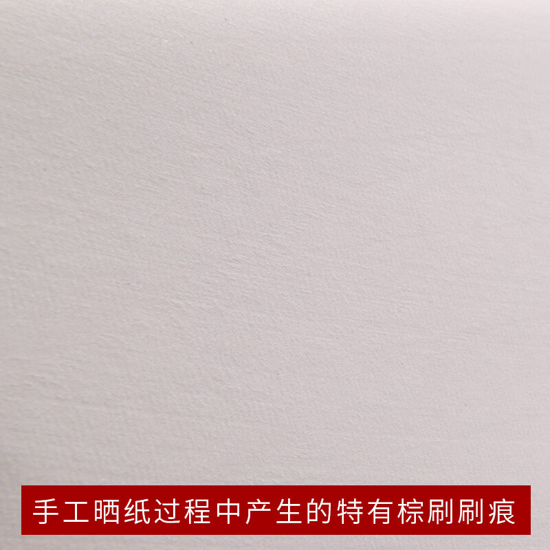 八尺宣纸半生熟大尺寸丈二丈六丈八二丈三丈熟宣纸工笔画专用大规格国展投稿专用手工书法山水国画专用生宣纸 124×248cm(特种净皮10张)[八尺] 生宣