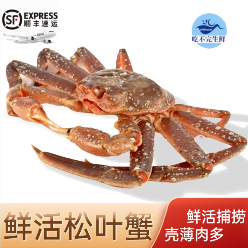 蟹类最全历史价格表|蟹类价格比较