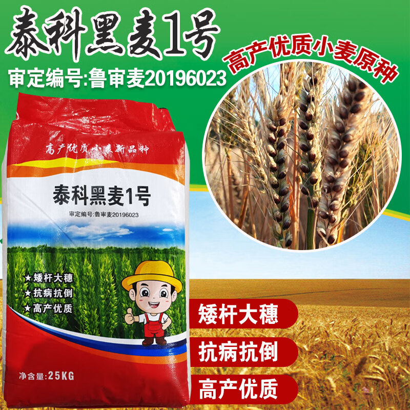 原种黑小麦种子农大小麦农家天然富硒黑小麦黑金刚有机春冬季种籽 泰科黑麦1号/1斤 分装怎么看?