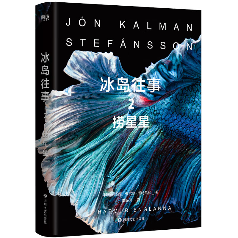 冰岛往事.2,捞星星
