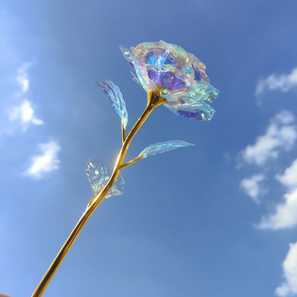 贝意品太阳捕手棱镜光雪花七彩炫光玫瑰花变幻星空彩金玫瑰花浪漫永恒
