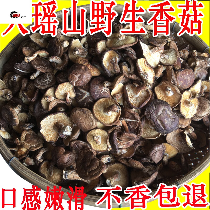 香菇干貨新鮮小椴木菇農(nóng)家廣西金秀大瑤山土特產(chǎn)菌菇蘑菇 500g