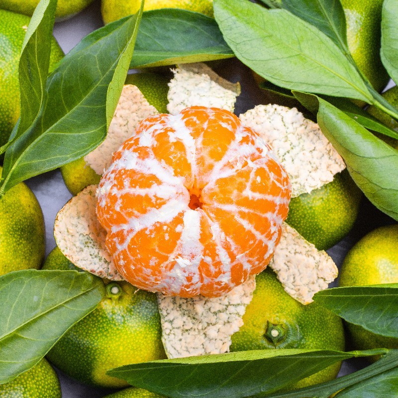 东江湖蜜橘 湖南郴州清江桔子 无籽蜜橘 资兴高山酸甜薄皮蜜桔 5斤 中