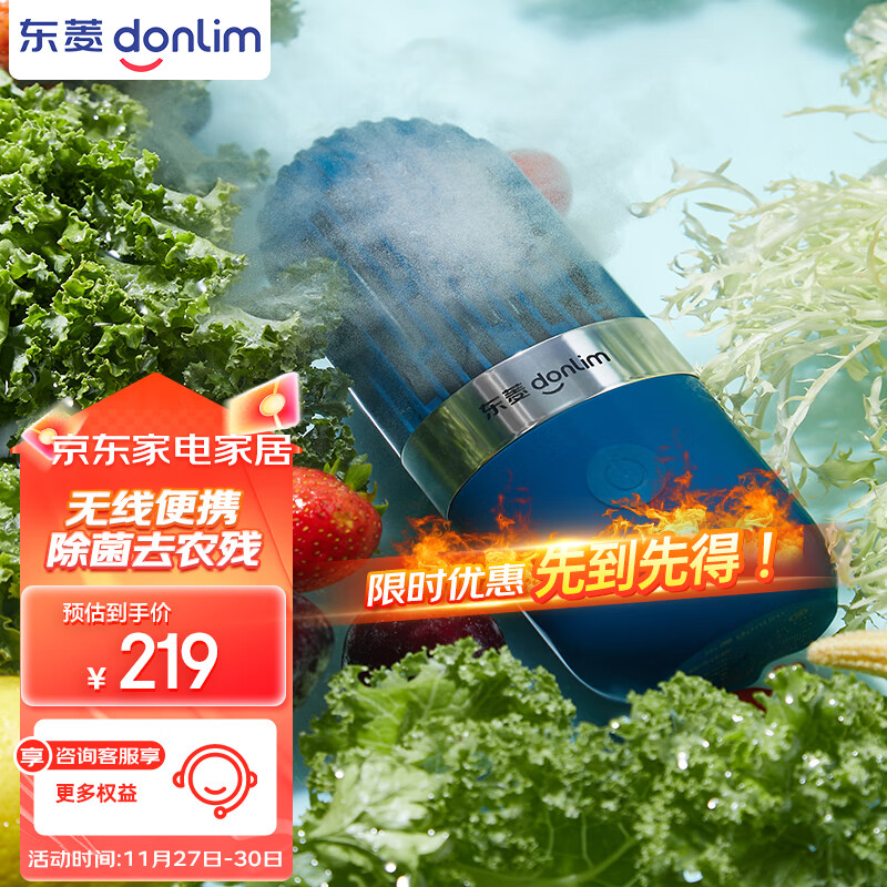 东菱（Donlim）胶囊果蔬清洗机 家用果蔬食材净化器 除菌去农残 无线便携 DL-1212静谧蓝