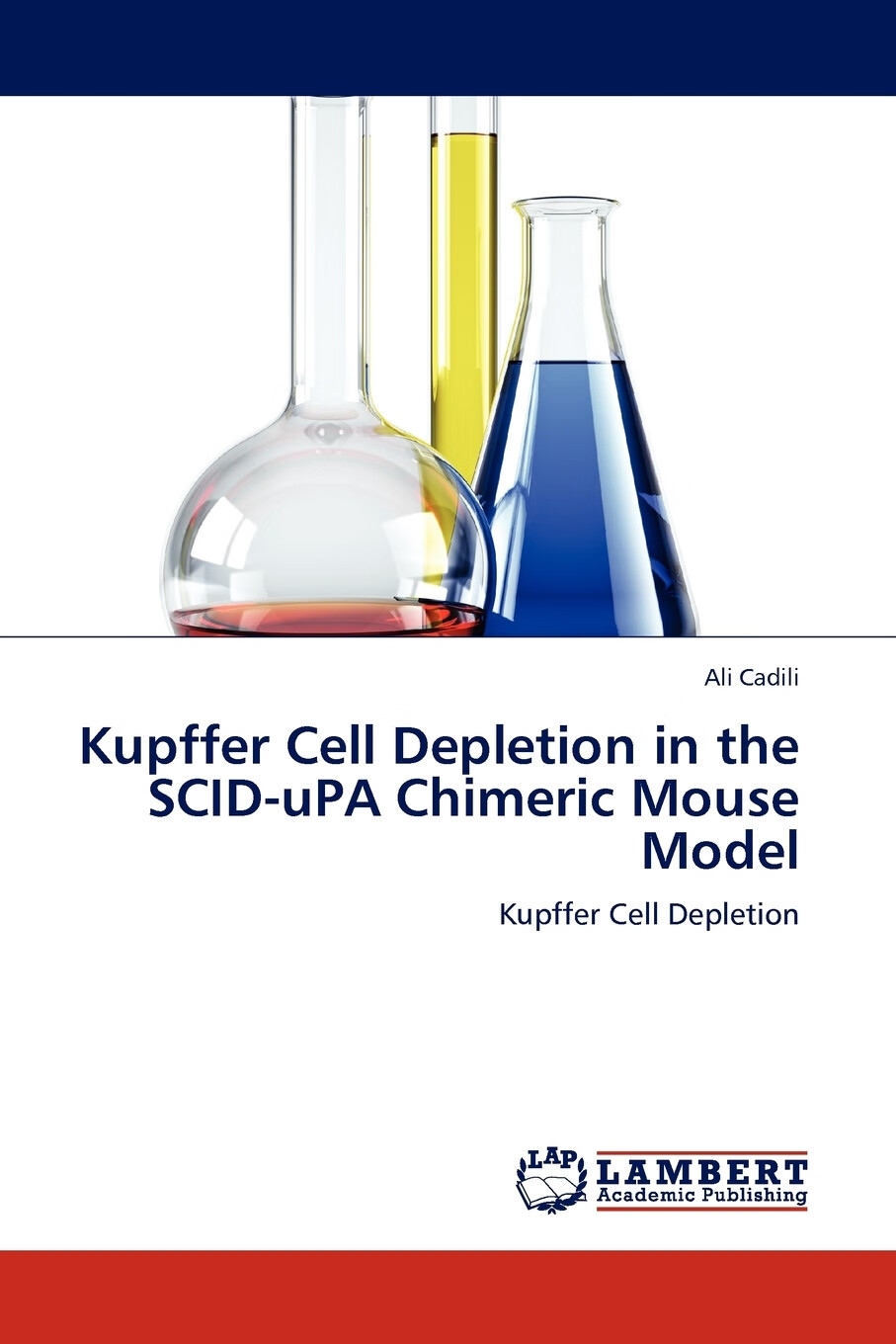 【预售按需印刷】kupffer cell depletion in the scid-upa chimeric