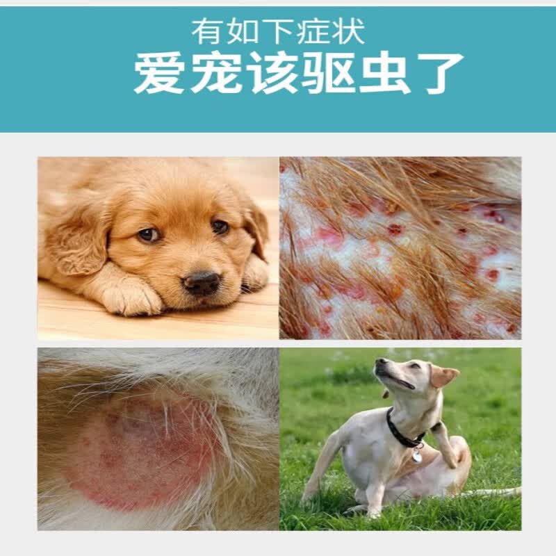马头牌阿苯达唑片驱虫药阿苯达唑片猫咪狗虫子药体内泰迪幼猫驱虫 马头牌阿苯达唑片 15片*2盒 正品保证-现货日发