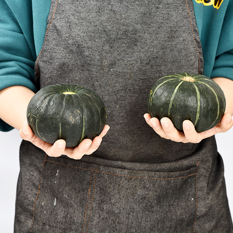 舅甜果蔬【现货现发】贝贝南瓜板栗味贝贝小南瓜日本品种南瓜刮泥粉糯