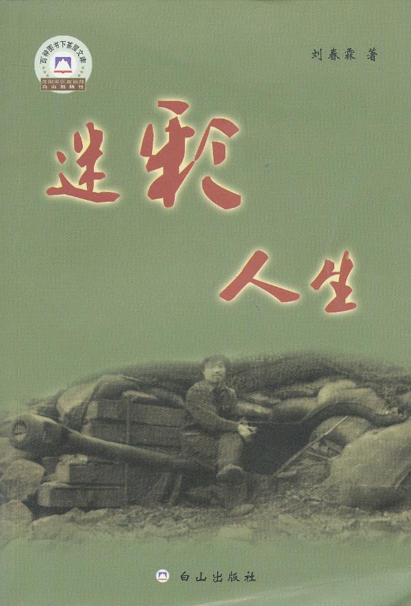 迷彩人生【正版图书】