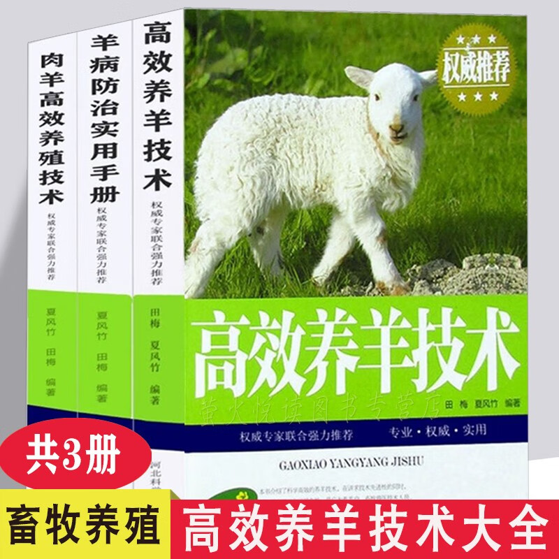 高效养羊系列 全3册 肉羊高效养殖技术 山羊绵羊羔 羊病防治实用手册等 新农村畜牧养殖技术大全书籍
