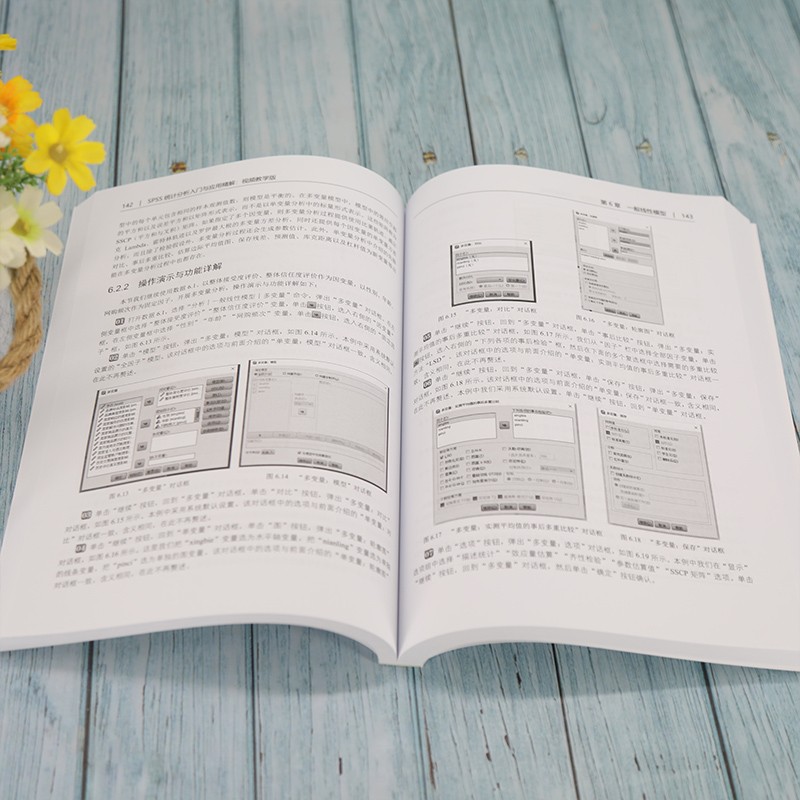 SPSS统计分析入门与应用精解(视频教学版)