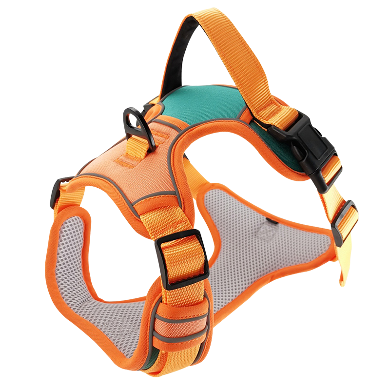 Suomilaرʽë޹ǣ  L