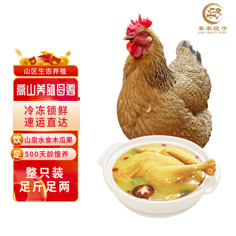 秦家院子老母鸡 农家慢养500天 鲜鸡肉 走地鸡月子鸡汤食材整只鸡  1.2kg