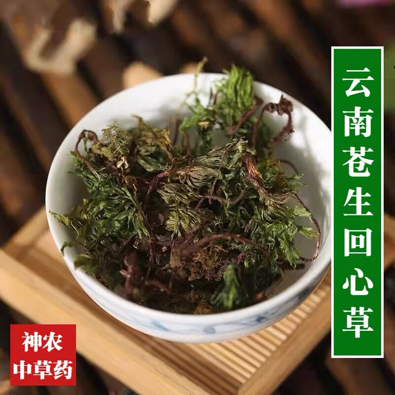 云南中草药回心草500g茴心草干净清爽无灰尘大叶藓苍山回芯草正宗 回