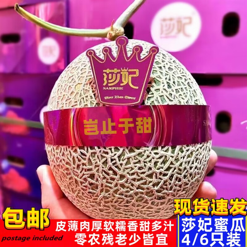 青樱红荔现货莎妃蜜瓜甜瓜牛三爆纹网纹瓜礼盒装高端水果甜蜜哈密瓜