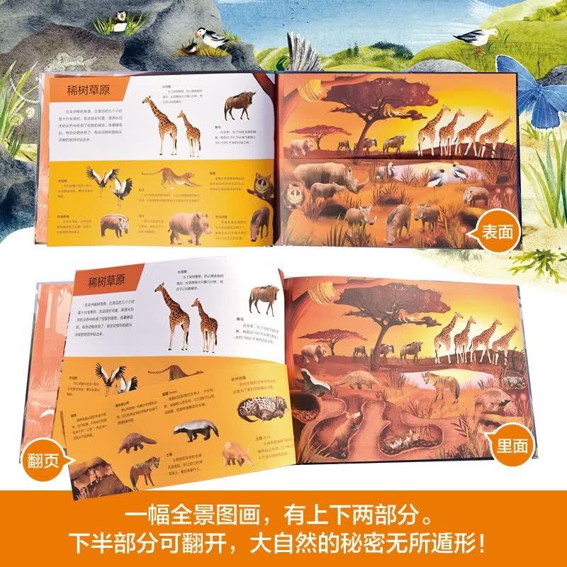 神奇的地上地下系列（神奇的沙滩海洋+神奇的黄昏黎明）创意翻页，自然科普自然观察美景图画科普启蒙详情图