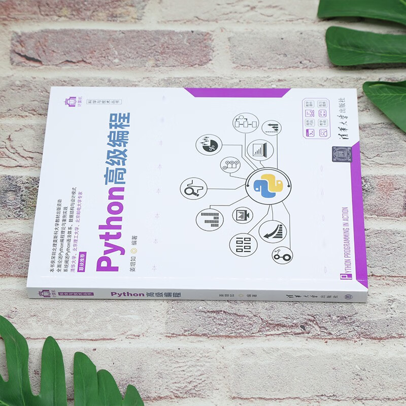 Python高级编程（计算机科学与技术丛书）详情图