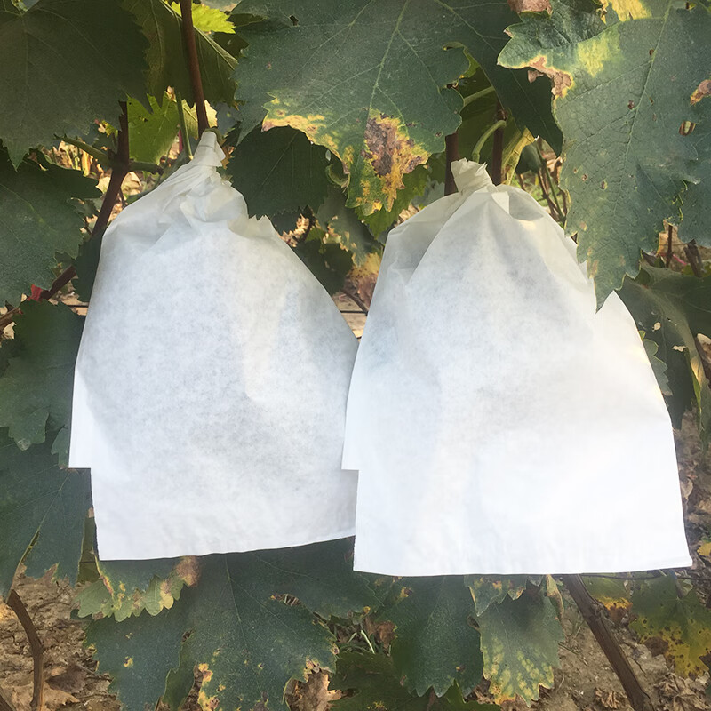 居道葡萄专用套袋防雨防病防虫袋葡萄纸袋全木浆葡萄袋子露天葡萄套袋