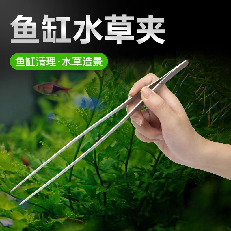 水草用品历史价格查询软件|水草用品价格历史