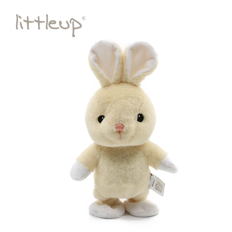 猪年生肖兔男的运势(猪年属兔人的运势如何)