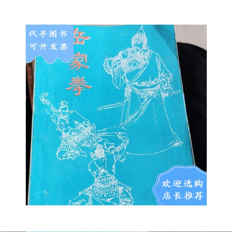 【二手八成新】岳家拳