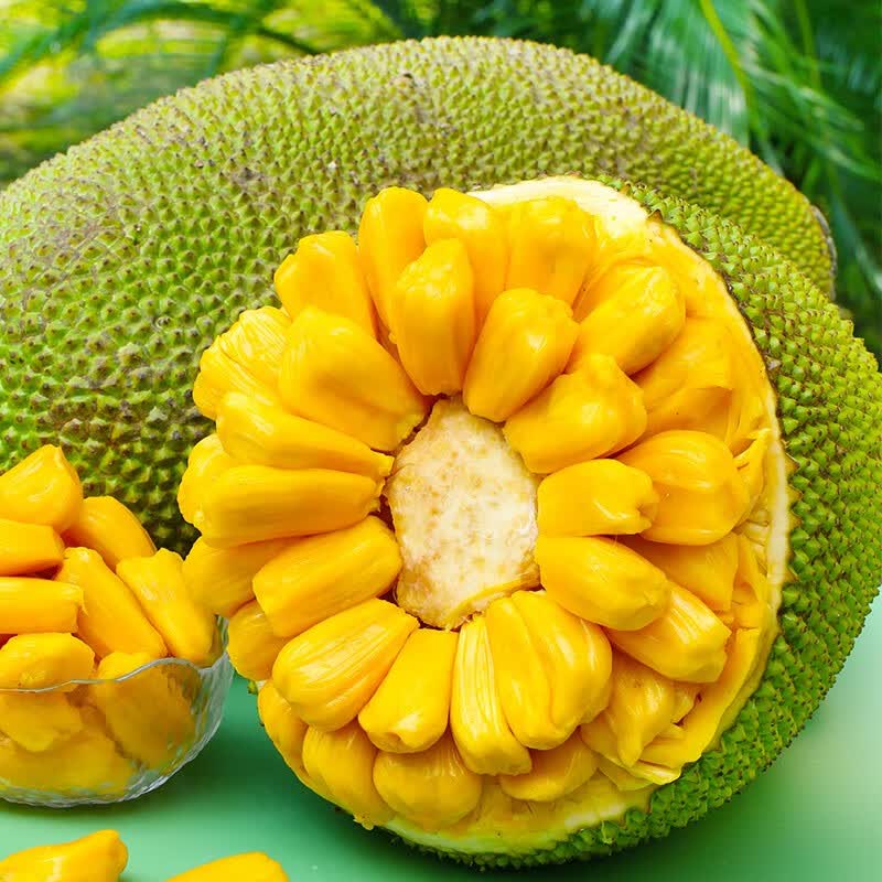 舅甜果蔬【现摘现发】海南三亚菠萝蜜 新鲜当季木波罗蜜黄肉海南特产