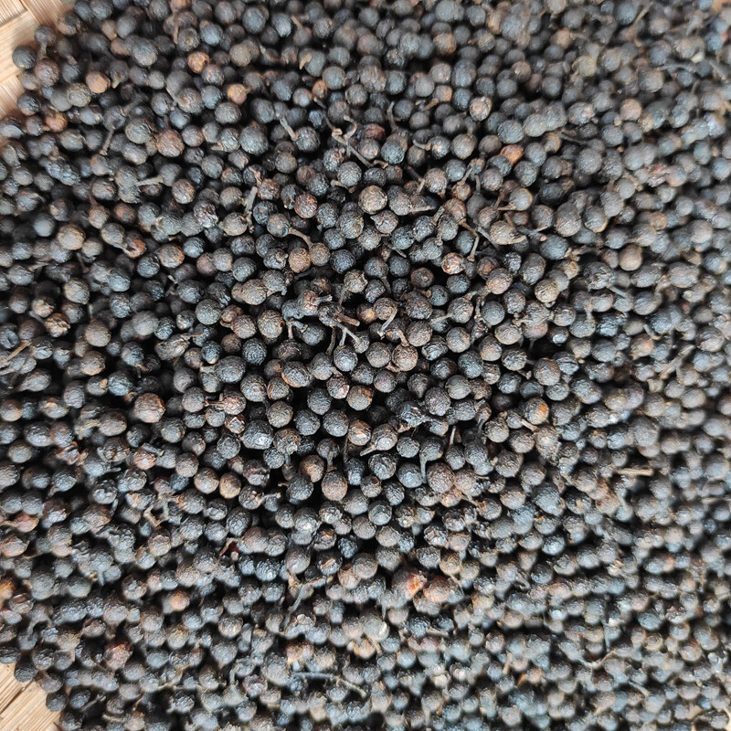 野生山木姜子贵州特产山胡椒山苍子无提炼酸汤火锅木姜籽干货一斤