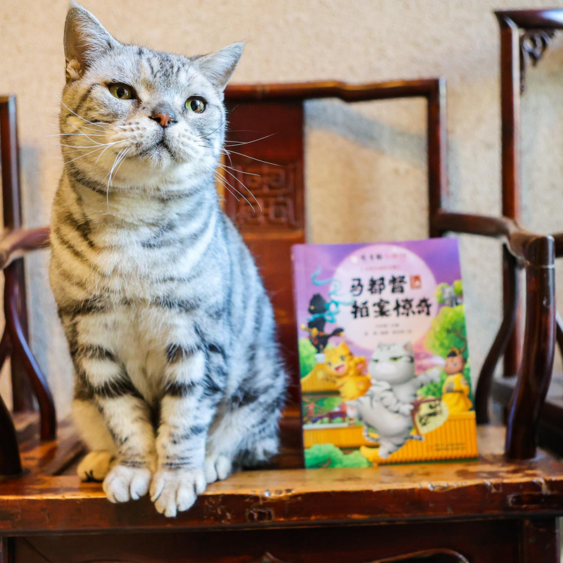 观复博物馆观复猫《马都督拍案惊奇》儿童漫画读物轻松幽默涨知识