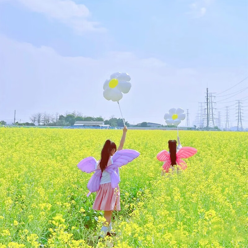 天使翅膀 成人气球维密大号蝴蝶翅膀玩具儿童网红拍照道具地摊街 赠送