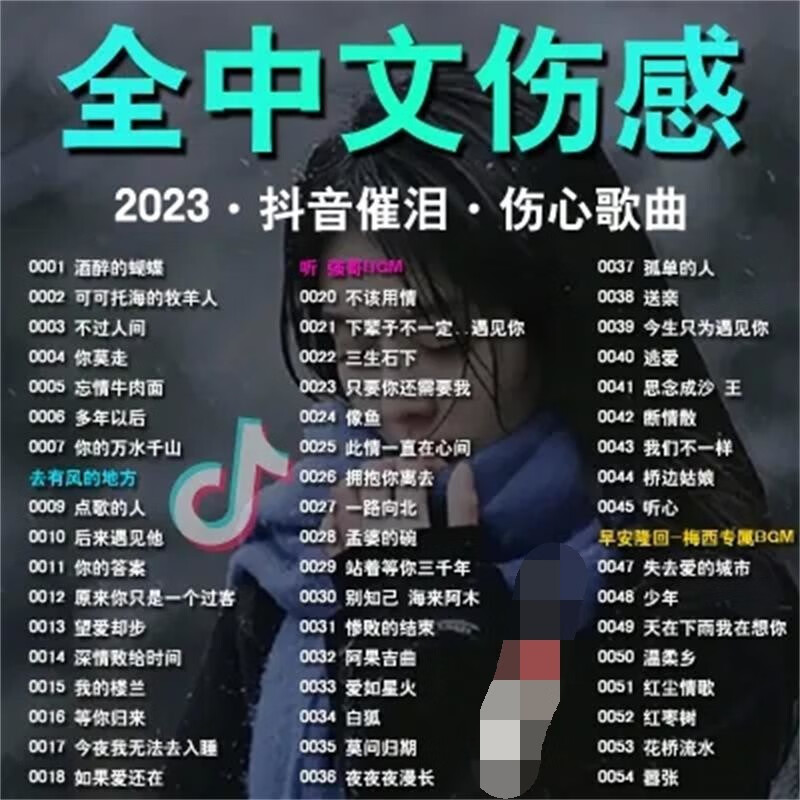 派钦抖音中文伤感dj情歌音乐u盘2023精选热门dj新歌曲火爆中文流行mp3