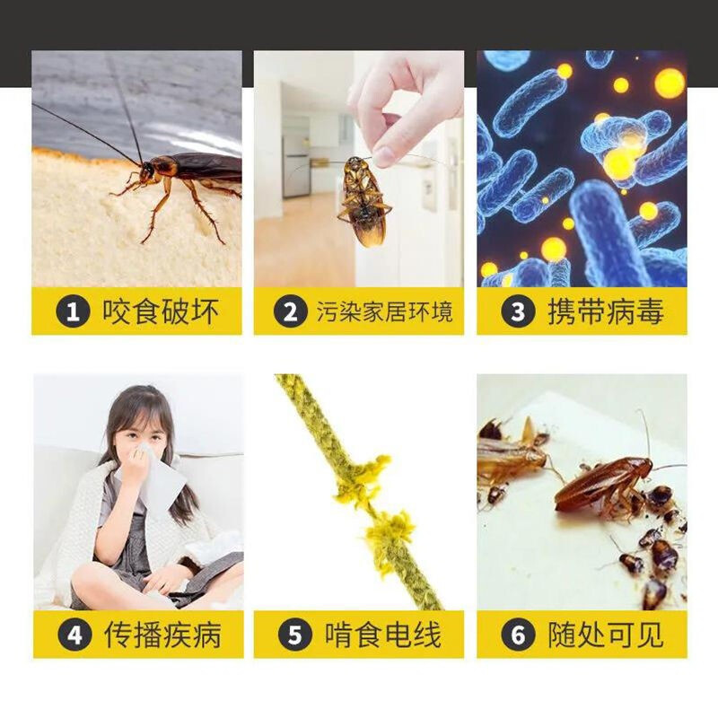 植物精油蟑螂魔盒驱蟑螂药一全窝端家用防虫室内厨房衣柜樟脑丸力驱赶神器蟑螂魔盒 绿色