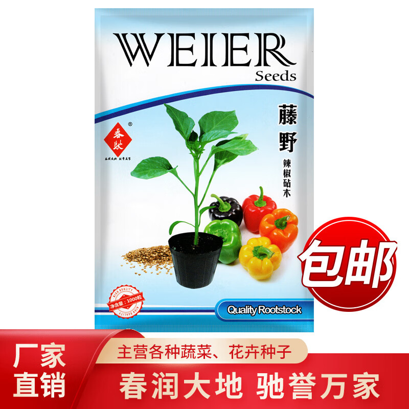 京丰 辣椒砧木种子藤野辣椒嫁接专用砧木 线椒螺丝椒抗死棵 亲和性好