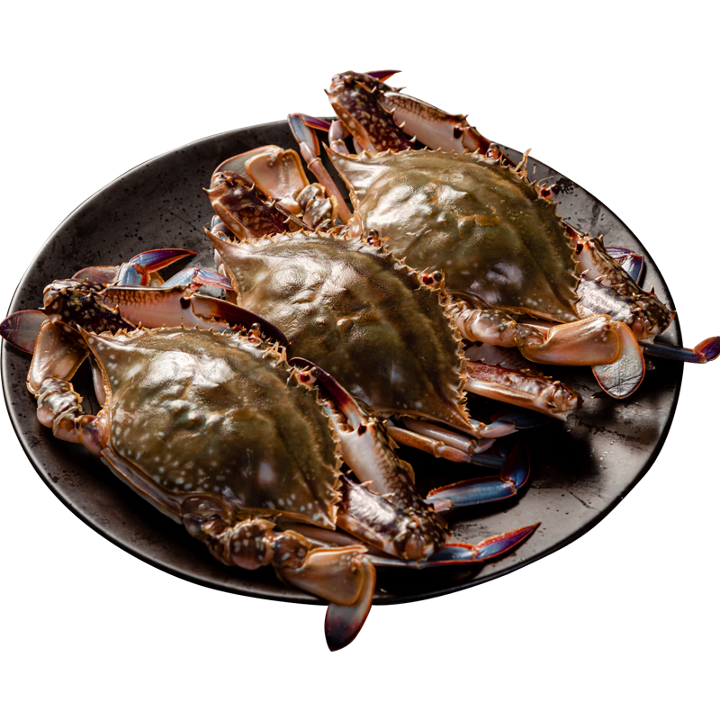 ���䶳������ ����з2.6��/5-6ֻ��ֻ����Һ���䶳4-6��/ֻ���Ļƺ������з���� 139Ԫ