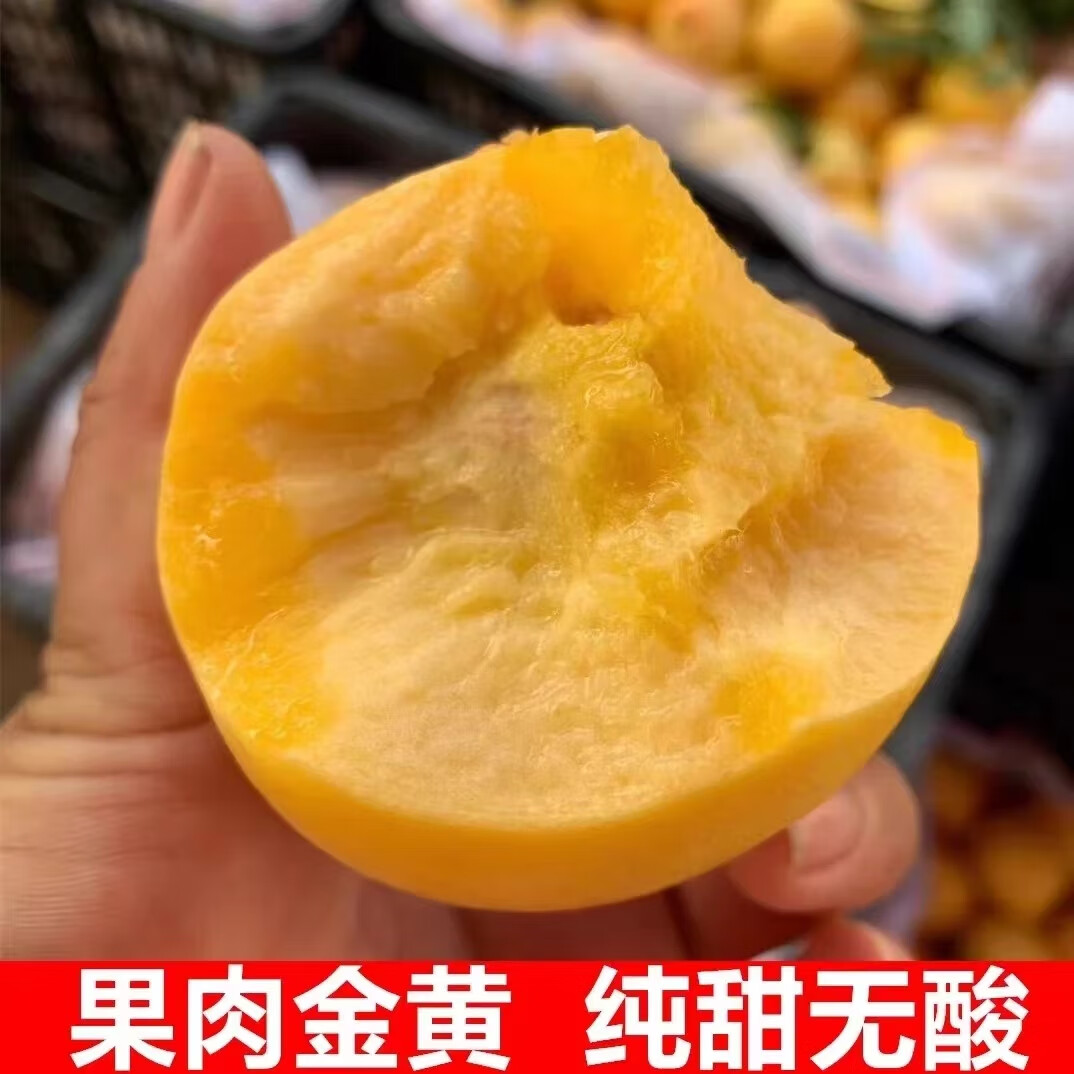 正宗山东蒙阴蜜桃新鲜水果（4.5斤）自家果园现摘现发【水蜜桃】 4.5斤普通箱