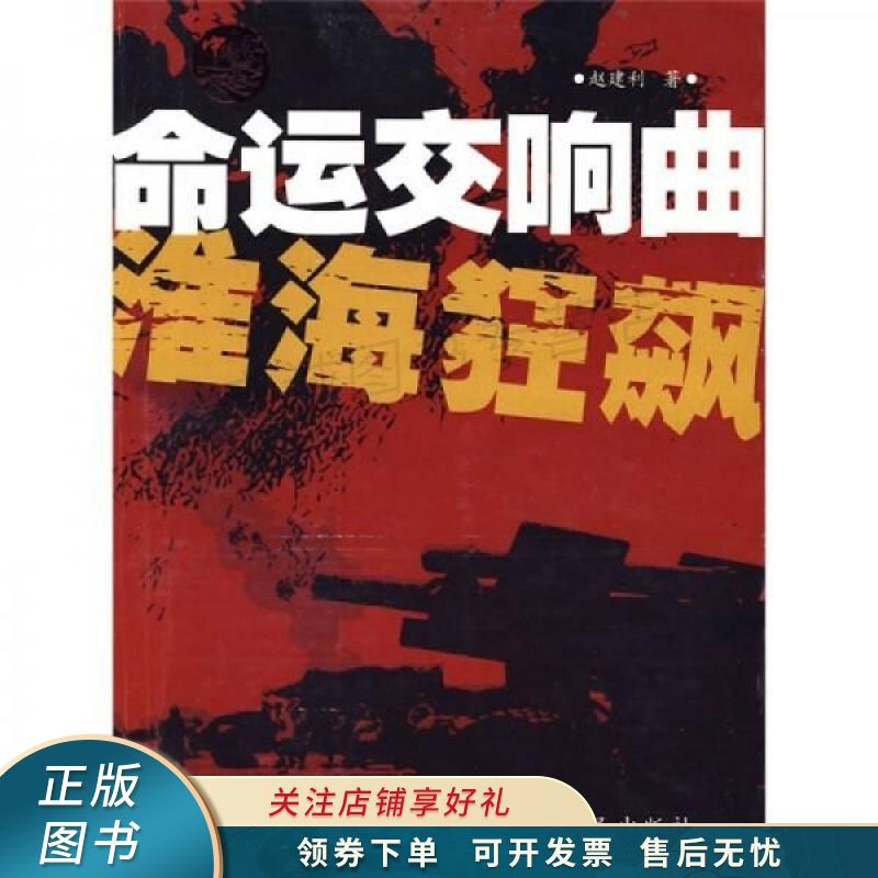 命运交响曲：淮海狂飙 赵建利