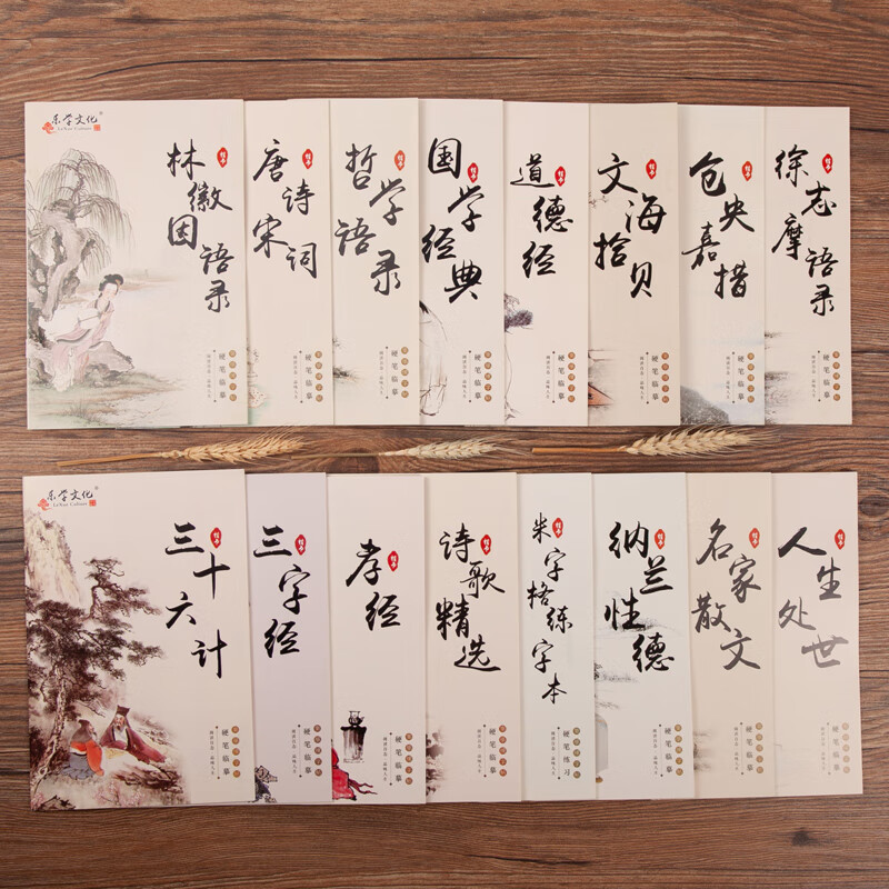 张颢簪花小楷凹槽字帖男女生漂亮字体楷书练字神器大学生钢笔练字 16本描红[楷书]送10笔芯1笔壳