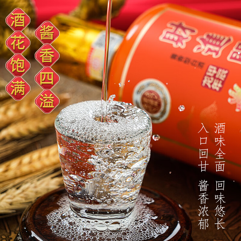 财进门甲辰龙年贵州53度白酒酱香酒大曲坤沙酿造家用聚会口粮酒