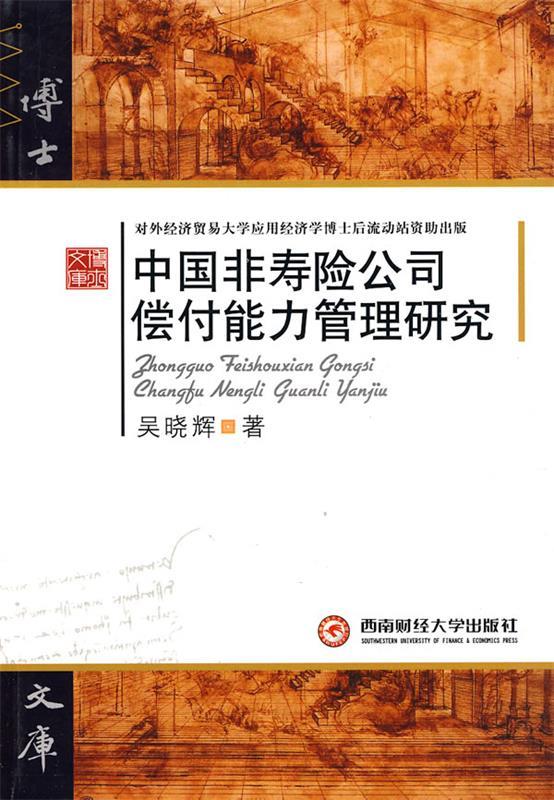 中国非寿险公司偿付能力管理研究