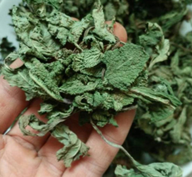 蛤蟆草荔枝草蟾蜍草癞蛤蟆草皱皮草青蛙草五根草黄蟆龟草 干品蛤蟆草