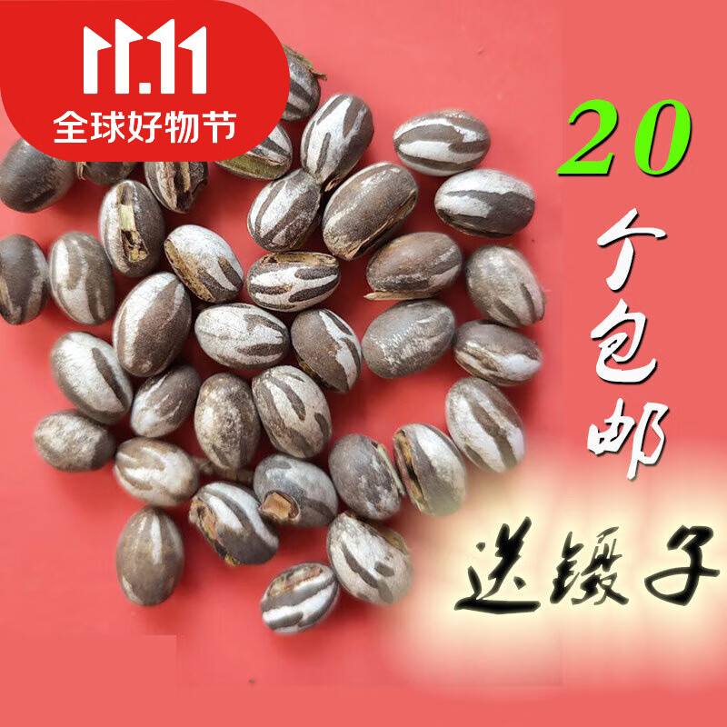 杉贝新宠之康杨拉罐洋辣子罐蛋蜜袋鼯零食刺猬飞鼠增肥虫仓鼠坦克虫