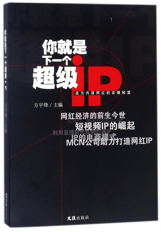 【官方正版】你就是下一个超级IP 方宇锋 著 文汇出版社