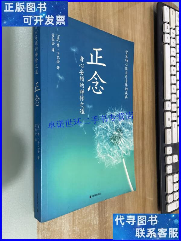 【二手9成新】正念:身心安顿的禅修之道 /卡巴金 海南出版社