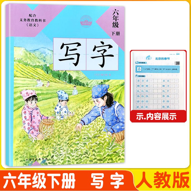 2023写字123456一二三四五六年级上下册部编人教版字帖不带覆膜 六年级下册 小学通用