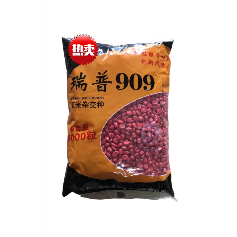 细辛瑞普909矮杆大棒抗旱抗倒玉米种子一袋6000粒种1.5亩地