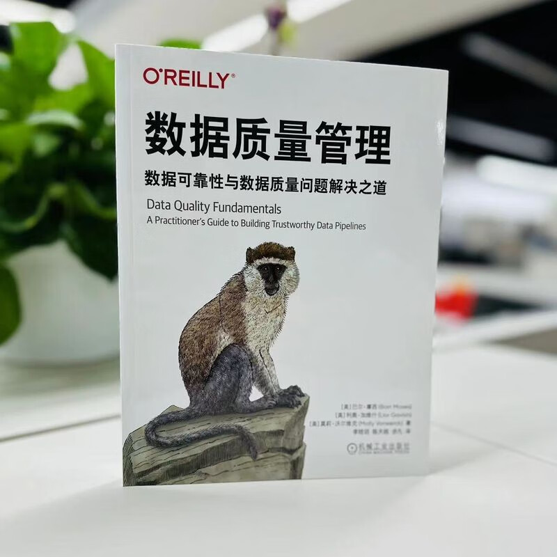 数据质量管理：数据可靠性与数据质量问题解决之道详情图