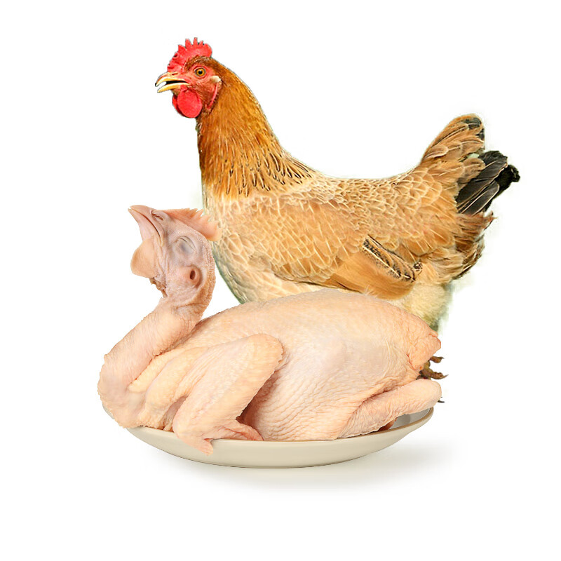 温氏供港三黄鸡1kg*2只 农家散养土鸡 冷冻生鲜鸡肉红烧白切煲汤食材 三黄鸡800g*2只