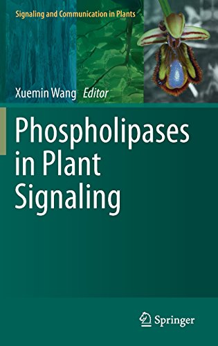 预订 Phospholipases in Plant Signaling
