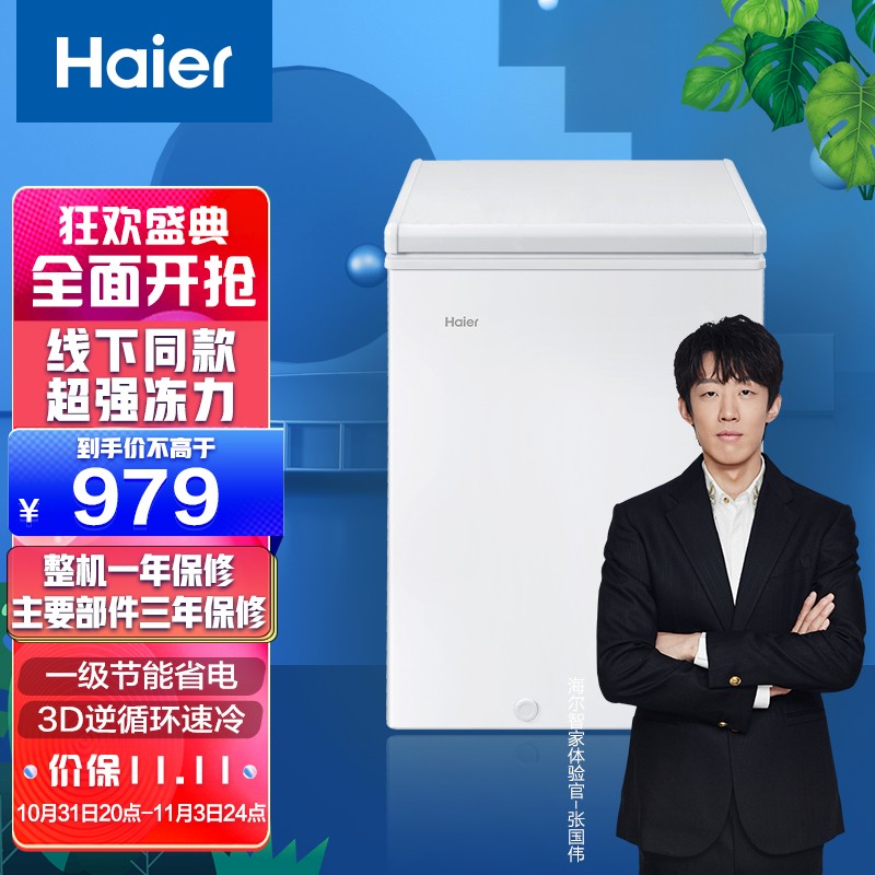 海尔 Haier 100升家用冷藏冷冻转换冰柜 节能单温母乳冷柜小冰箱BC/BD-100GHEZW0